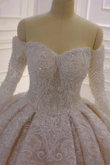 Gorgeous Long Sleeve Off the Shoulder Appliques Lace Ball Gown Wedding Dress